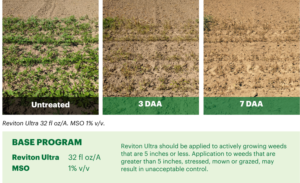 HELM_FactSheet_CropProtection_RevitonUltra_FarmProgress (1)